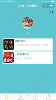 胡撩答題軟件探秘 功能、安全性與重慶軟件開發環境解析